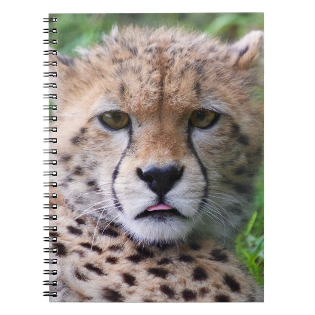 Carnet Silencieux Cheetah Cub (Devant)