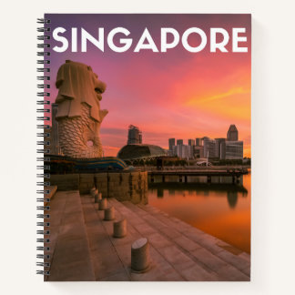 Carnet Singapour