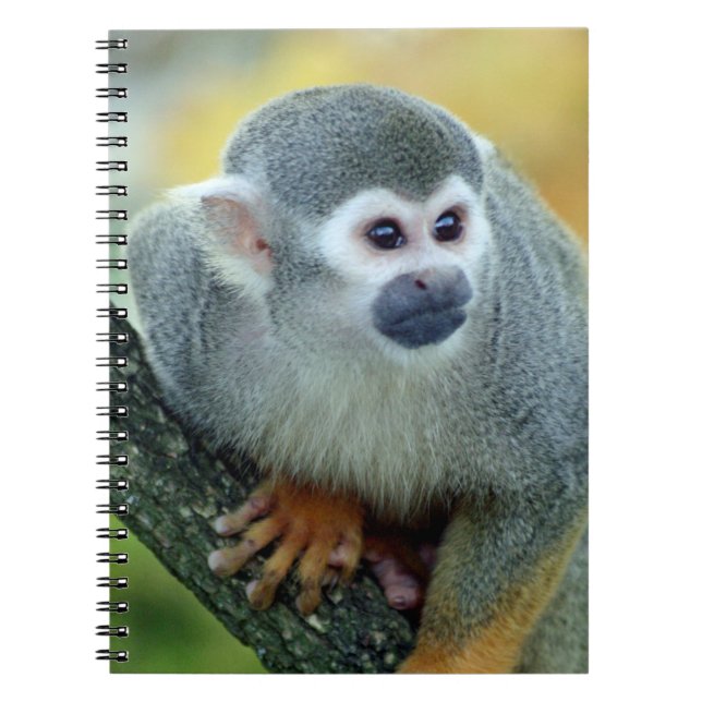 Carnet Singe 004 (Devant)