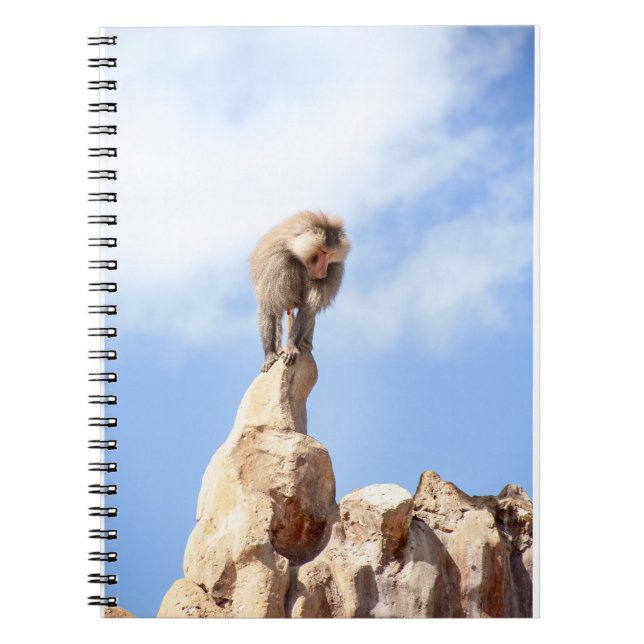 Carnet Singe babouin au sommet d'une montagne (Devant)