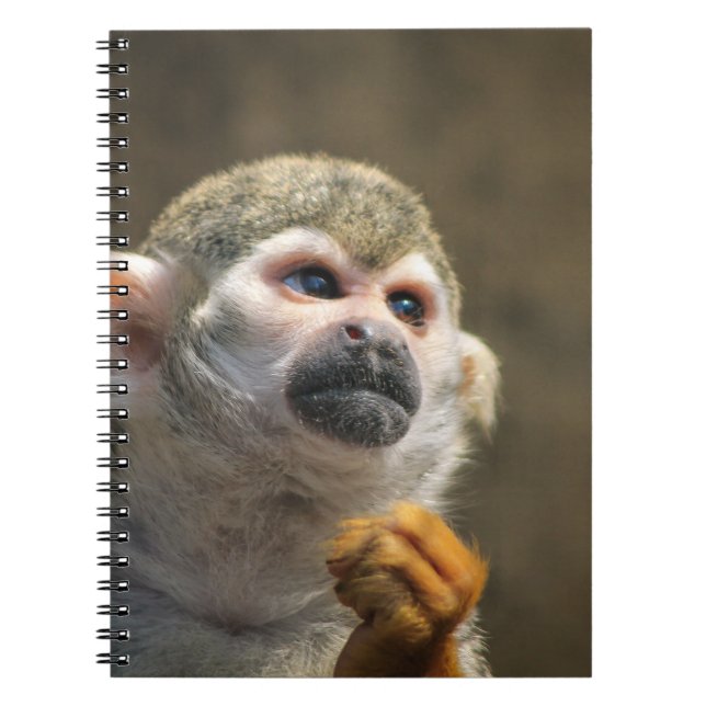 Carnet Singe intense (Devant)