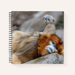 Carnet Singe nez retroussé doré père avec bébé