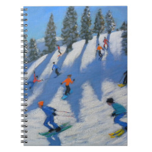 Carnet Skieurs Lofer 2010
