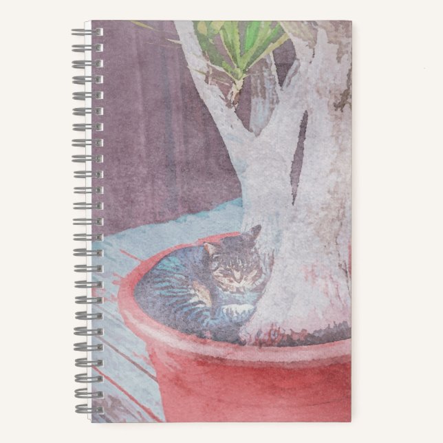 Carnet sleeping outdoor cat (Recto)