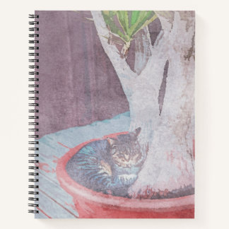 Carnet sleeping outdoor cat