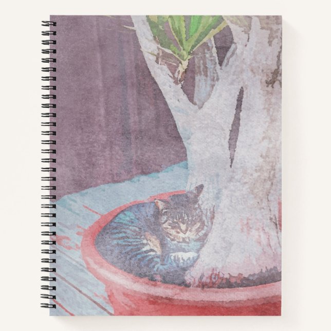 Carnet sleeping outdoor cat (Devant)