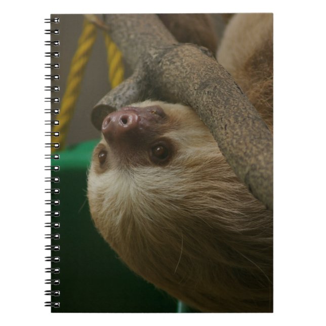 Carnet Sloth (Devant)