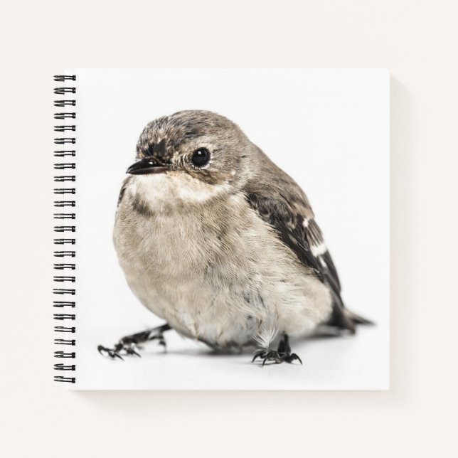 Carnet Small Garden Bird Photo (Devant)