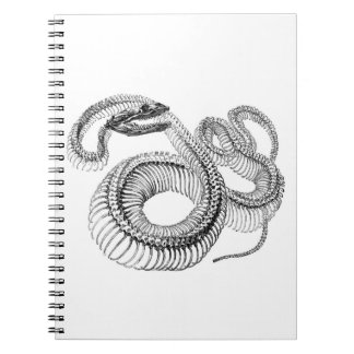 Carnet Snake Skeleton Notebook