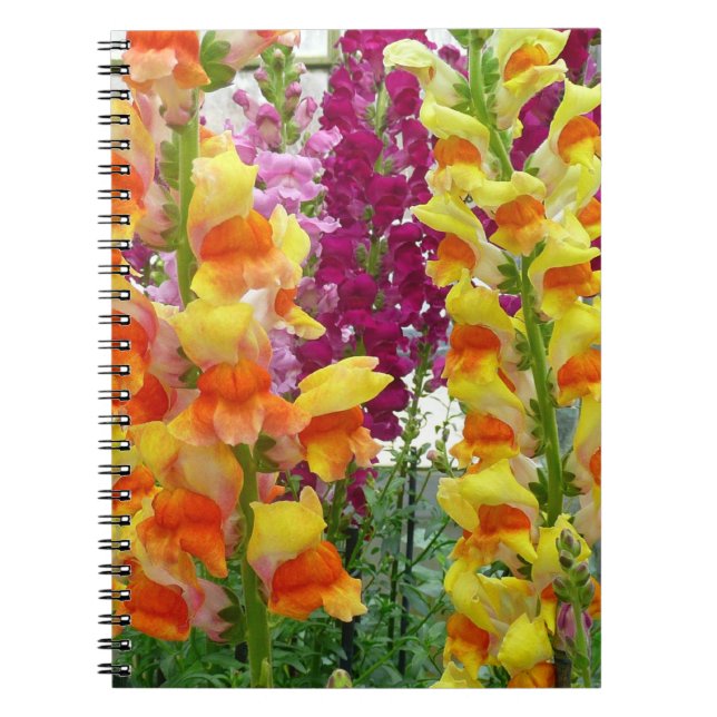 Carnet Snapdragons colorés floraux (Devant)