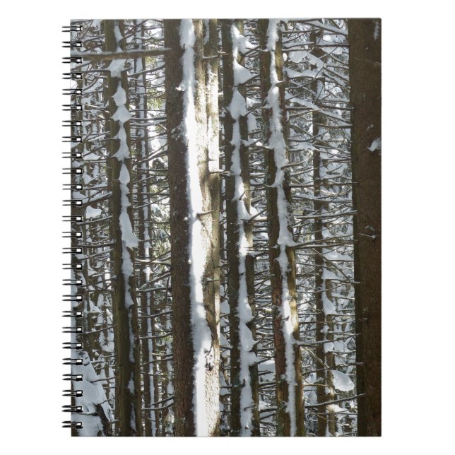 Carnet Snowy Fir Tree (Devant)