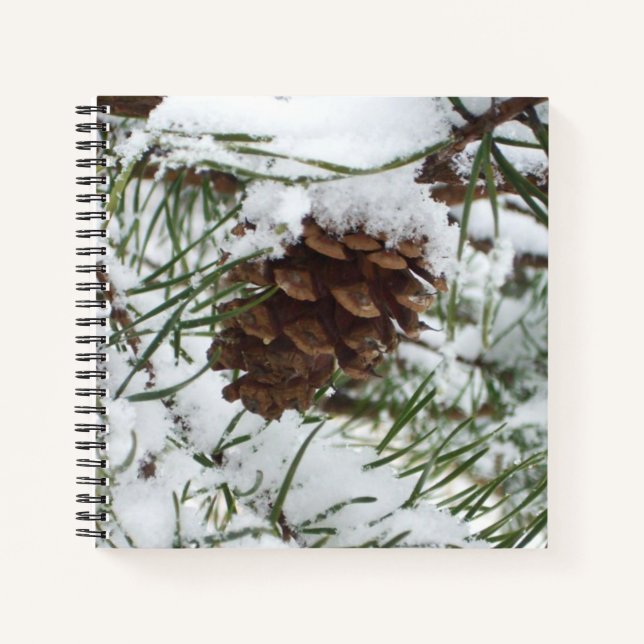 Carnet Snowy Pine Cone I (Devant)