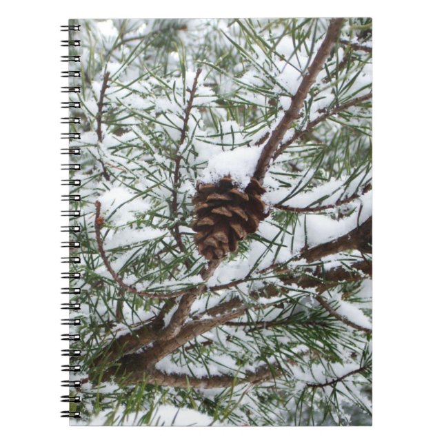 Carnet Snowy Pine Cône II hiver Photographie de la nature (Devant)
