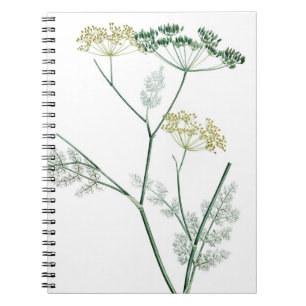 Carnet Soft Green Botanical IV