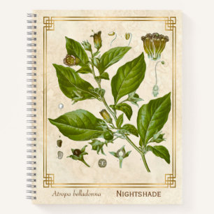 Carnet Soirée vintage du Plante médicinal Belladonna He