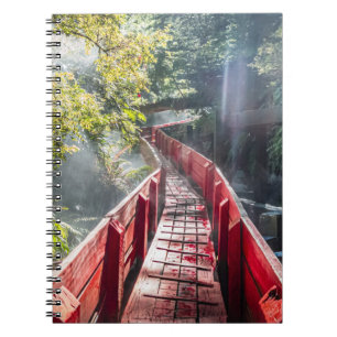 Carnet Soleil dans les Termas Geometricas, Conaripe, Chil