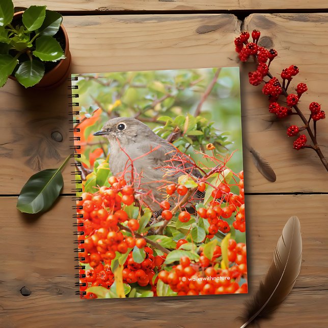 Carnet Solitaire de Townsend sur la Pyracantha (Townsend's Solitaire on the Pyracantha Shrub Journal Cover Photo)
