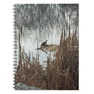 Carnet Solstice d'hiver