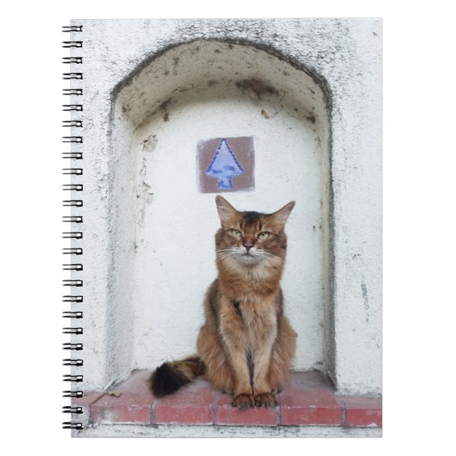 Carnet Somali Cat in Alcove Old World Scene (Devant)