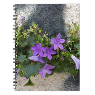 Carnet sortie de la fleur murale