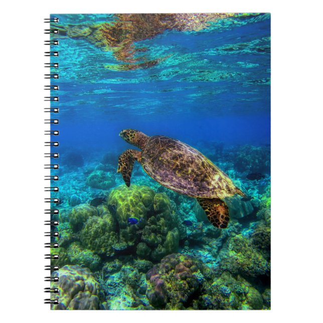 Carnet Sous-marin Tropical Sea Turtle Coral (Devant)