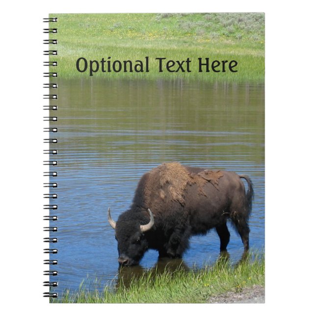 Carnet Souvenir de Buffalo de Yellowstone (Devant)