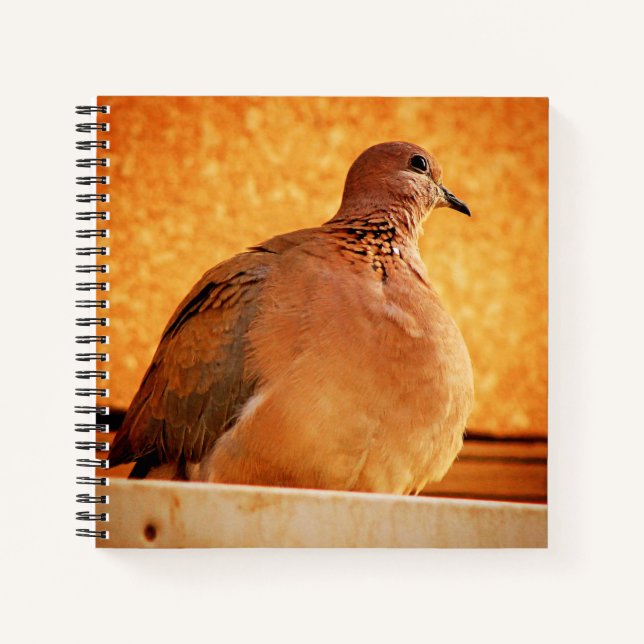 Carnet Souvenirs oubliés (Devant)