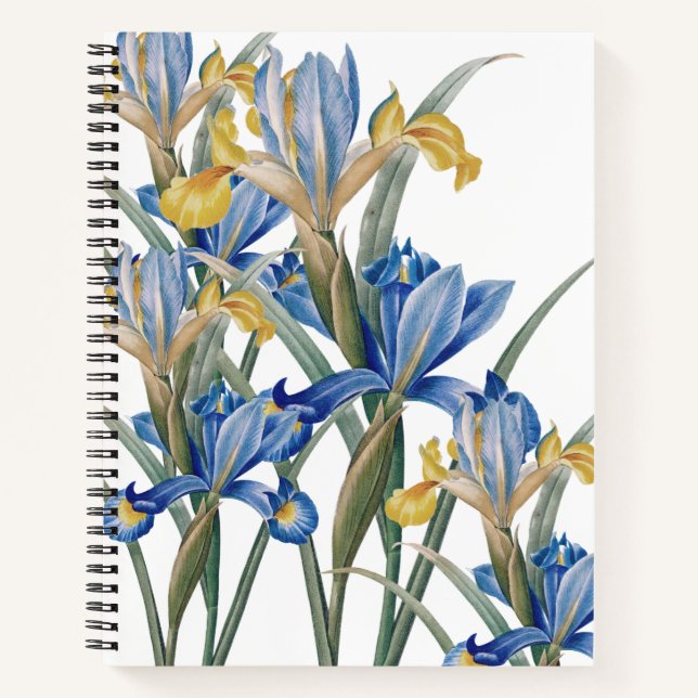 Carnet Spanish iris by Pierre-Joseph Redouté (Devant)