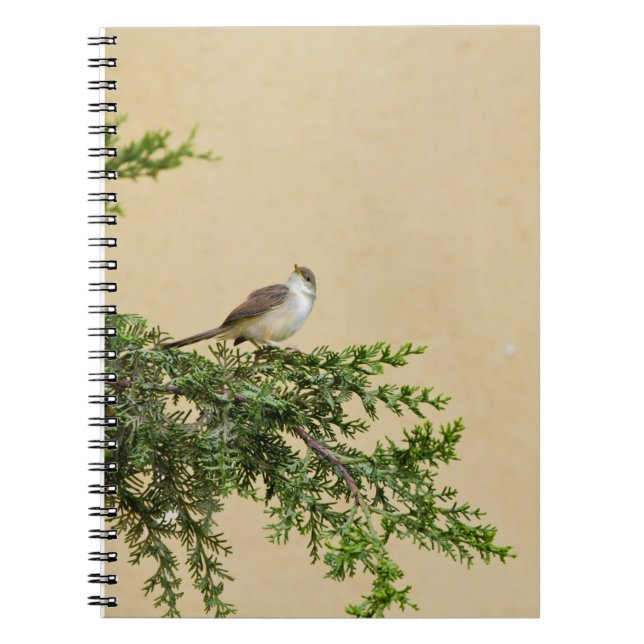 Carnet Sparrow (Devant)