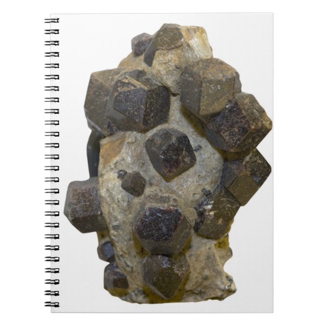 Carnet Spessartite dans Matrix (Devant)