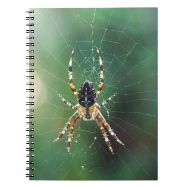 Carnet Spider Spider (80 Pages B&W) (Devant)