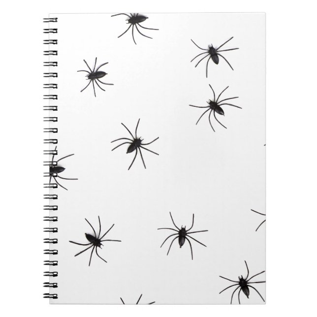 Carnet spiders (Devant)
