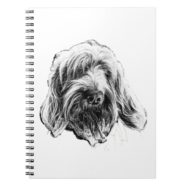Carnet Spinone Italiano Chien (Devant)