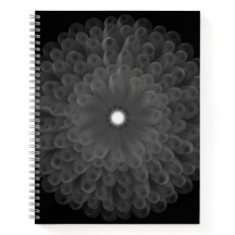Carnet spiral