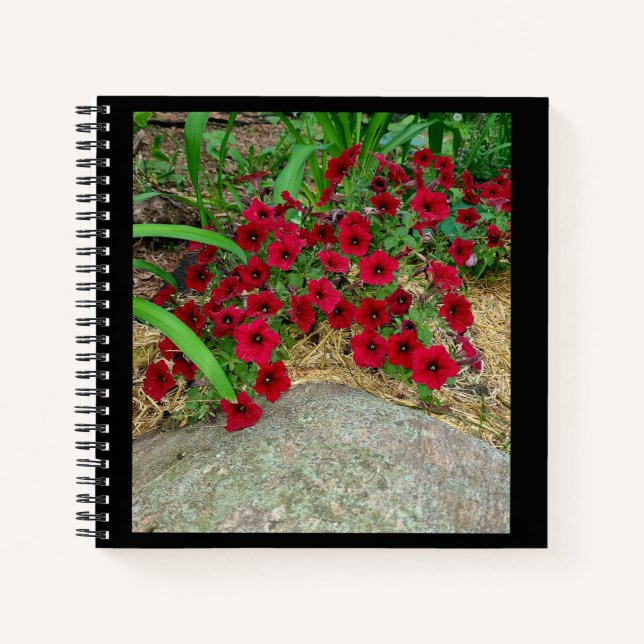 Carnet spiral (Devant)