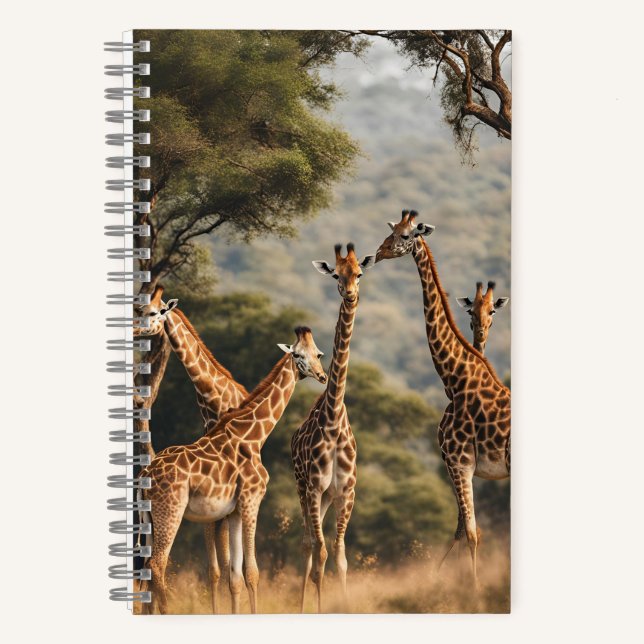 Carnet spiral (Recto)