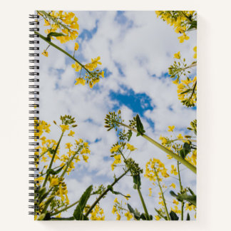 Carnet spiral