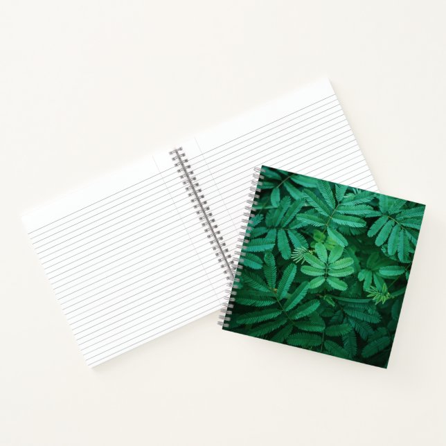 Carnet spiral (Intérieur)