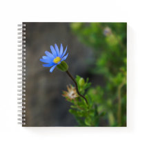 Carnet spiral à fleurs bleues