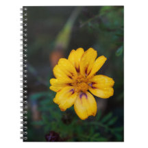 Carnet spiral à fleurs jaunes