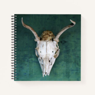 Carnet spiral Antelope Design crâne