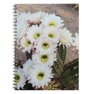 Carnet spiral argentin de fleur de cactus