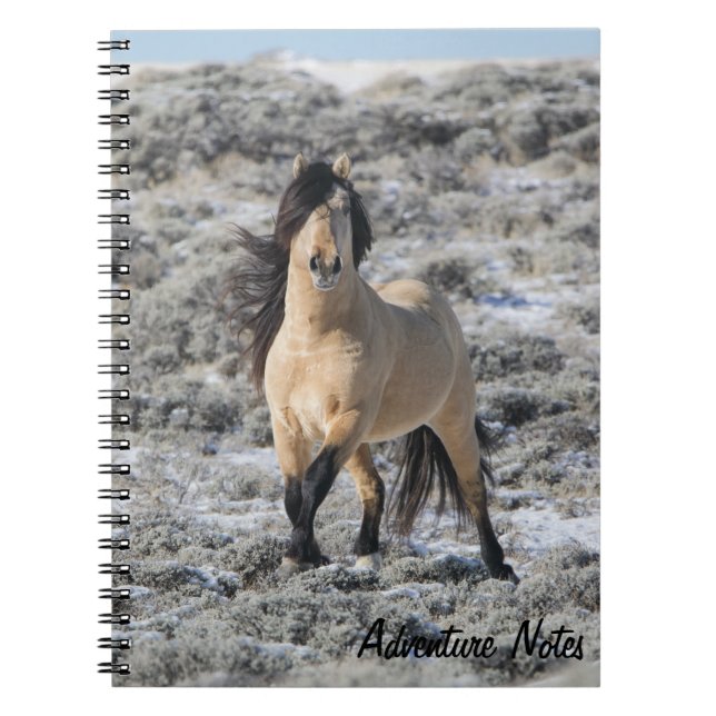 Carnet spiral avec Wicahpi Hinhpaya (Devant)