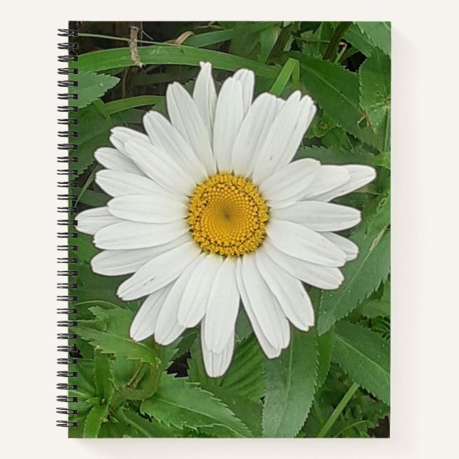 Carnet spiral blanc marguerite (Devant)