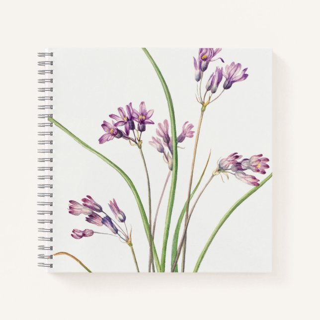Carnet Spiral : Botanical Art Design (Hyacinth) N (Devant)