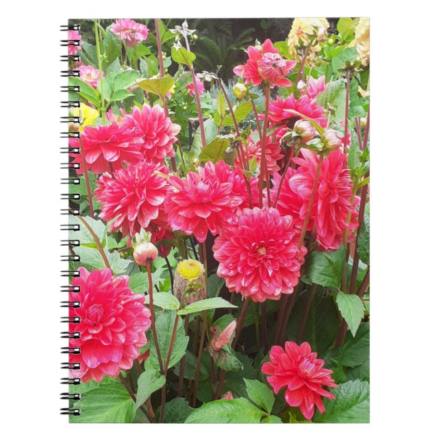 Carnet Spiral Dahlias Rose Profond (Devant)