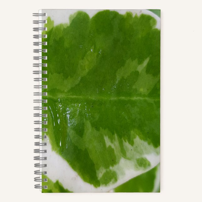 carnet spiral de 5,5 po x 8,5 po pour idées et not (Recto)