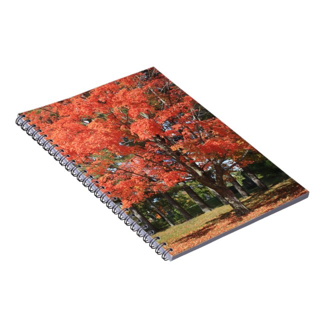 Carnet spiral de l'érable d'automne (Côté Droit)
