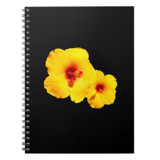 Carnet spiral de l'Hibiscus jaune