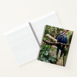 Carnet spiral de perroquet macaw